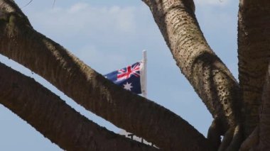 Ağaç dallarının arkasında sallanan Avustralya bayrağı