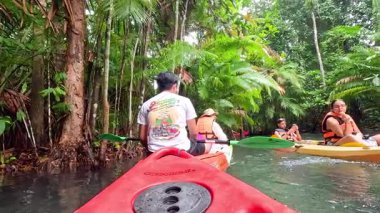 Exploring clear waters and lush greenery by kayak