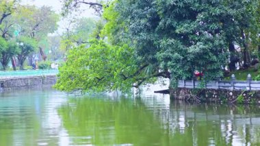 Bereketli yeşilliklerle çevrili sakin gölet.