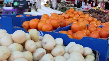 Meyve ve sebze çeşitleri sergileniyor