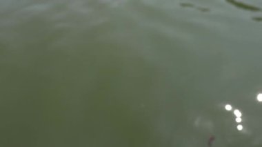 Suya dalan bir nesnenin ilerlemesi