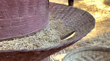 Geleneksel ekipman kullanılarak pirinç imalathanesi