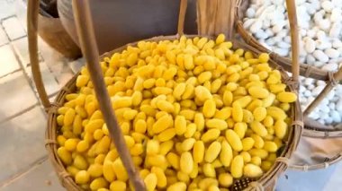 Tayland 'da ipek kozalar ve kaynama süreci