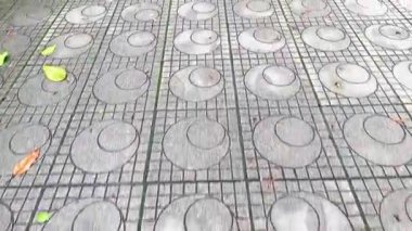 Yapraklar desenli taş kaldırımlara saçılmış.