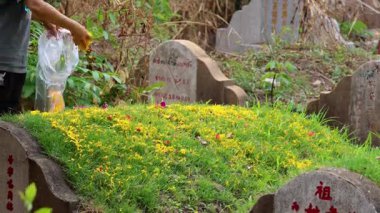 Sarı çiçekli bir mezarla ilgilenen kişi