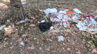 Ağacın etrafında gelişen çöp yığını