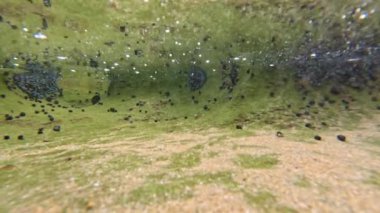 Kayalıklar ve kıyı şeridi üzerinde yavaş çekim dalgaları