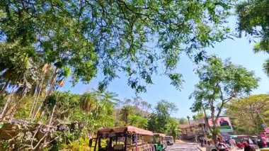 Ziyaretçiler Khao Kheow Açık Hayvanat Bahçesi 'nde canlı bir yeşillik ve park halinde bir tur aracıyla güneşli bir yolda yürüyorlar.