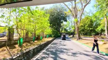 Khao Kheow Açık Hayvanat Bahçesi 'nde Chonburi, Tayland' daki canlı doğa ve ziyaretçi etkileşimlerini sergiliyor.