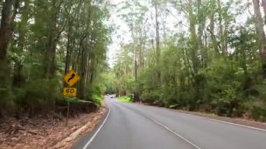 Yoğun ormanlarla çevrili dolambaçlı bir yol boyunca sakin bir sürüş, hafif gün ışığında minimum trafik ile yakalandı.