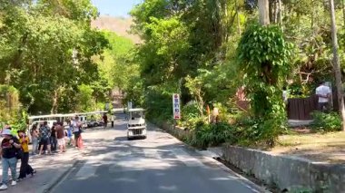 Golf arabaları ziyaretçileri yemyeşil hayvanat bahçesi manzarasında taşıyorlar.