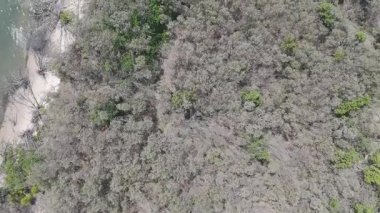 İnsansız hava aracı, Altın Sahil boyunca erozyon ve bitki örtüsü yakalıyor.