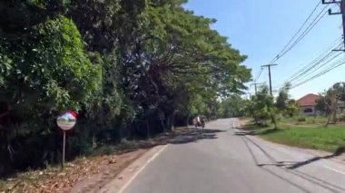 Bir aracın huzurlu bir caddeye bakış açısı