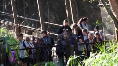 Children and adults observing animals at the zoo