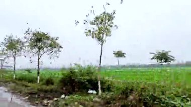 Bereketli yeşil tarlalar boyunca manzaralı gezinti