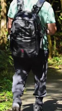 Sırt çantalı bir insan, yoğun yeşillik ve benekli ışıkla çevrili, güneşli bir orman yolunda yürüyor.