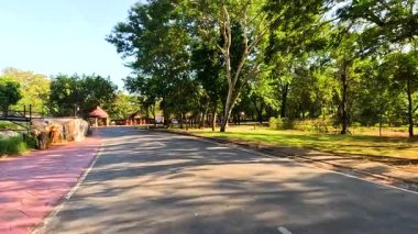 Bereketli hayvanat bahçesi manzarasında huzurlu bir yolculuk.