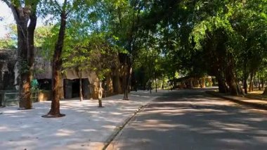 Bereketli yeşilliklerle çevrili huzurlu yürüyüş yolu