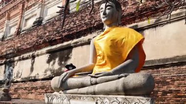 Ayutthaya 'da sarı cüppeli Buda heykeli