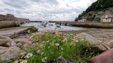 Sakin bir limanda çiçekler ve tekneler