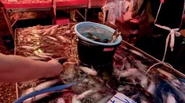 Markette buzda taze deniz ürünleri hazırlıyorum.