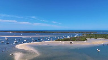 Avustralya Günü şenlikleri için tekneler toplandı