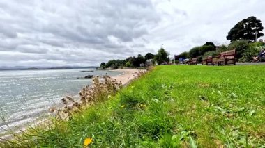 Çimenli önplanlı deniz manzarası