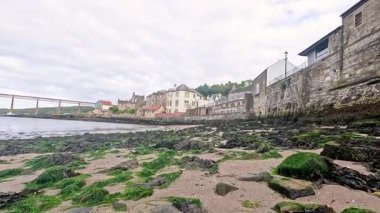 Deniz yosunu kaplı kayalar kıyı şeridi boyunca