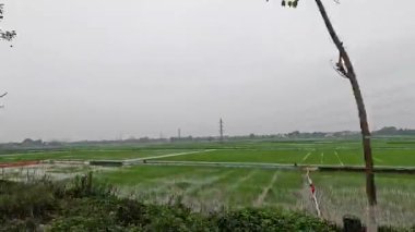 Enerji hatları olan yemyeşil alanlar