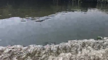 Dinamik dalgalanmalar ve sıçramalarla su yüzeyi dizisi.