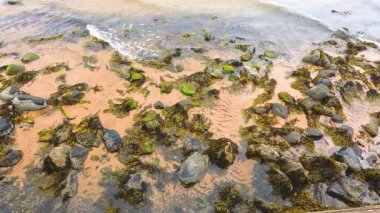 Yumuşak dalgalar kayalık kıyıları silip süpürüyor