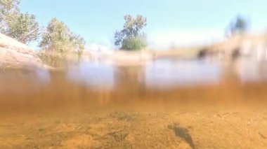 Su akıntısı kayalık bir arazide dolaşır.