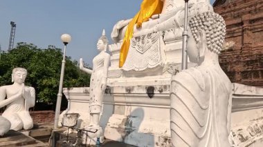 Sarı bir bezi büyük bir Buda heykelinin üzerine örtmek.