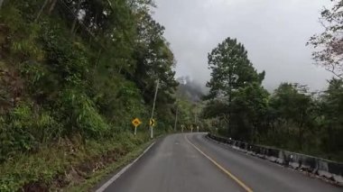 Kavisli bir orman yolunda seyahat ediyorum.