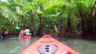 Bereketli tropikal çevrede kürek çekme macerası