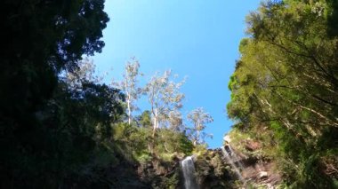 Bereketli yeşilliklerle çevrili manzaralı şelale