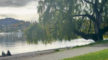 Yumuşak, dağınık ışıklandırmanın altında bir ağaç ve uzak dağlarla sakin göl manzarası. Huzurlu, yansıtıcı bir ruh hali yakalar.