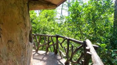 Parlak gün ışığı altında canlı yeşillikler ve doğal ahşap yapılarla çevrili yemyeşil bir kuşhanede huzurlu bir yürüyüş.