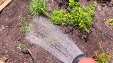 Bahçe sulama bitkileri güneşli bahçede