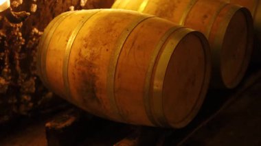 Mahzende bir sıra şarap fıçısı