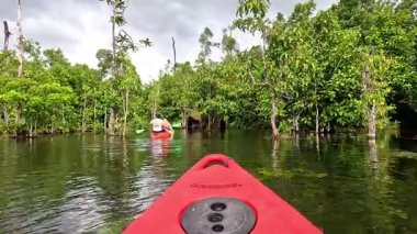 Canlı bir kanoyla yemyeşil su yollarını keşfediyorum.