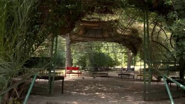 Huzurlu bahçe sahnesi, banklar ve yeşillikler.