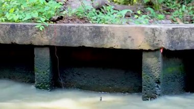 Bangkok 'taki Khlong Lat Mayom Yüzen Pazarı' nda çekilen yemyeşil ve yumuşak su hareketleriyle sakin bir kanal sahnesi.