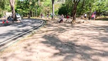 Hayvanat bahçesi yollarını ve doğal çevreyi keşfeden insanlar.