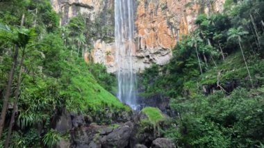 Şelale yemyeşil ormanda çağlıyor.