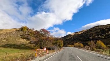 Wanaka 'nın pitoresk yollarında sakin bir sürüş, berrak mavi gökyüzü altında canlı sonbahar yaprakları ve yumuşak aydınlatma