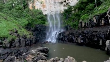 Şelale yemyeşil ormanda çağlıyor.