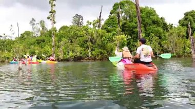 Bereketli Krabi su yollarında grup kanosu.
