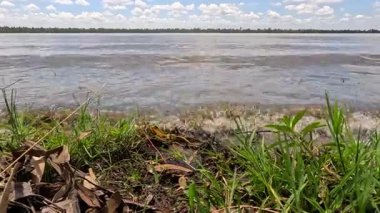 Yumuşak dalgalar mavi gökyüzünün altında çimenli nehir kıyılarıyla buluşur