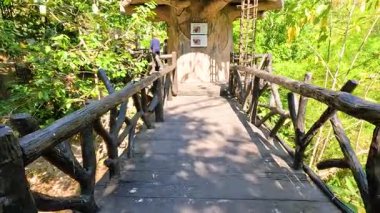 Bereketli bir kuşhanede manzaralı bir yürüyüş.